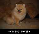 DSCN0584