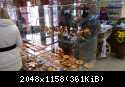 IMAG0065