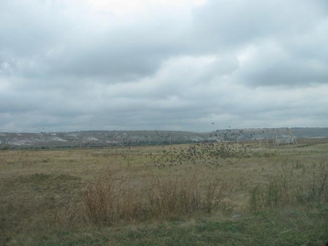 IMG 5235