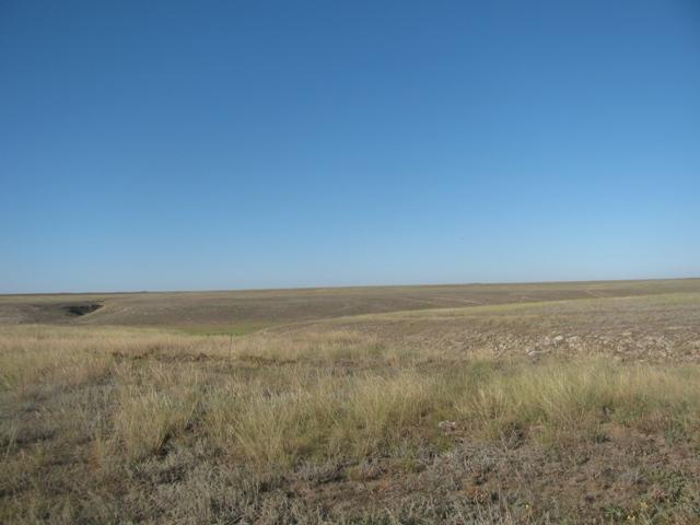 IMG 5270