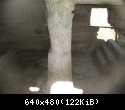 IMG 5575
