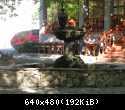 IMG 5594