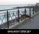 IMG 5627