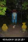 IMG 5638