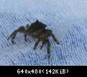 IMG 5689