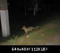 IMG 5709