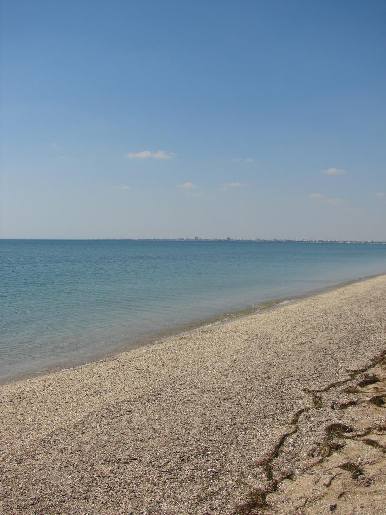 DSC09629
