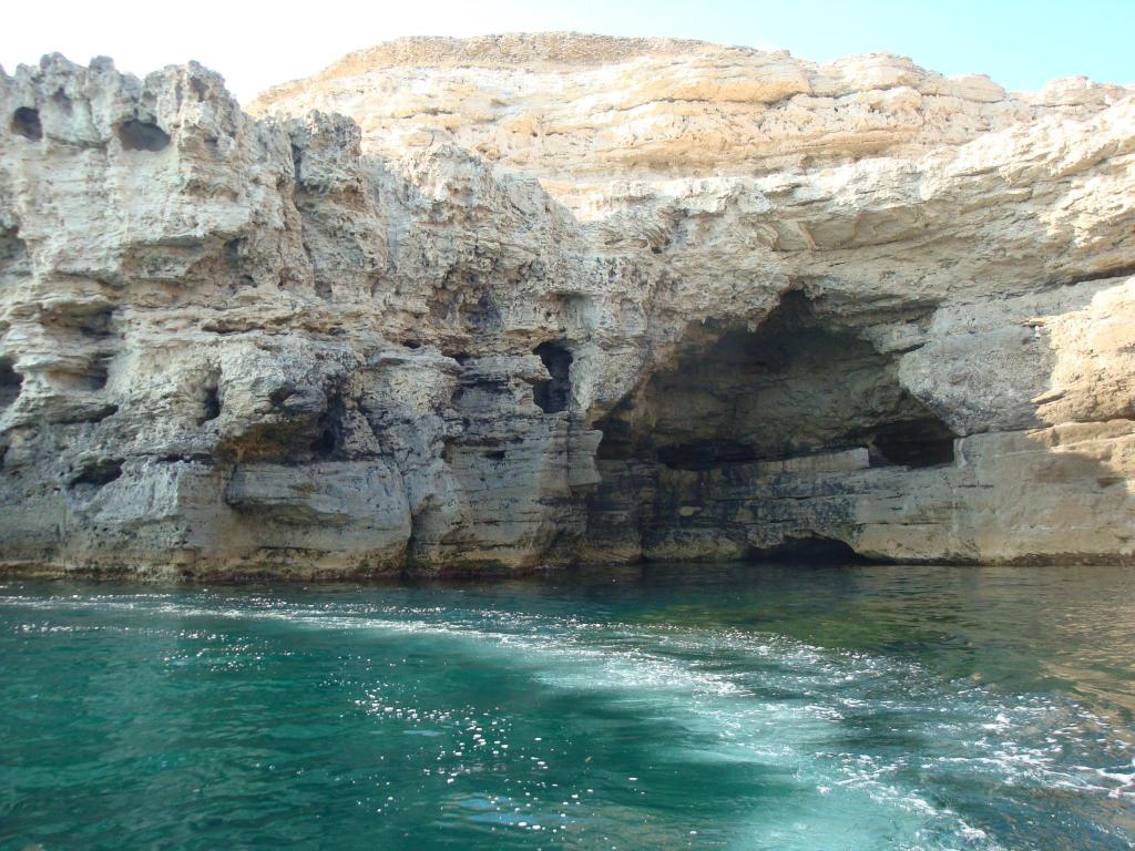 DSC04596