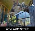 DSC00238