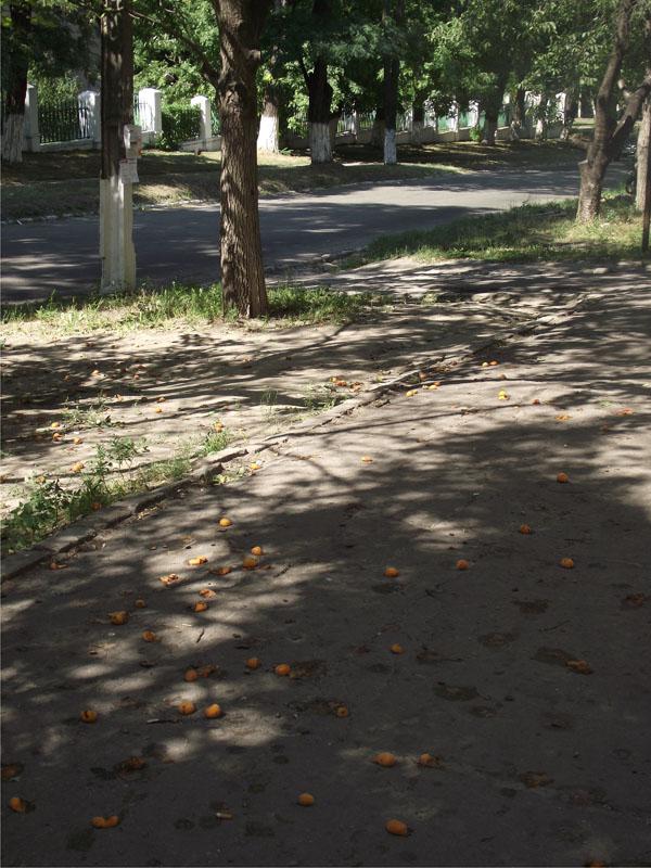Днепродзержинск