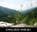 DSC02831