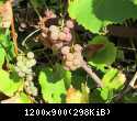 IMG 0329