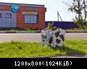 IMG 1405
