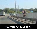 DPP 0006