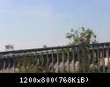 DPP 0007