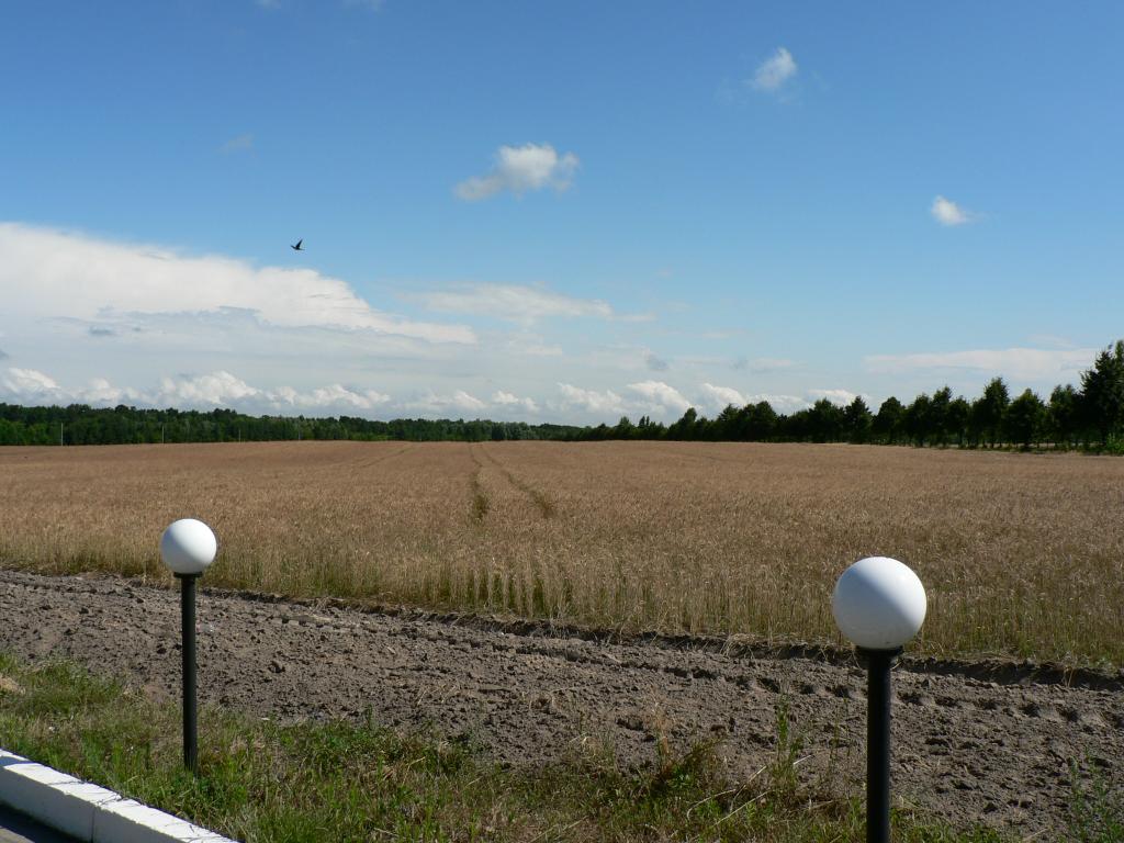 P1040316