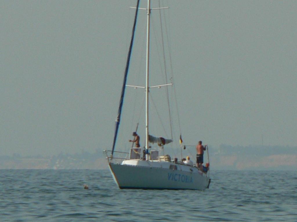 P1050946