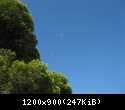 IMG 2097