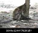 IMG 0437