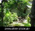 IMG 0516