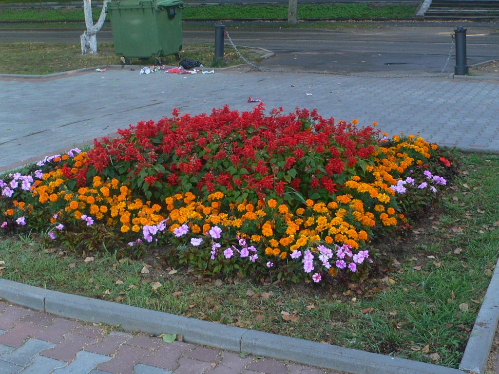 P1140561