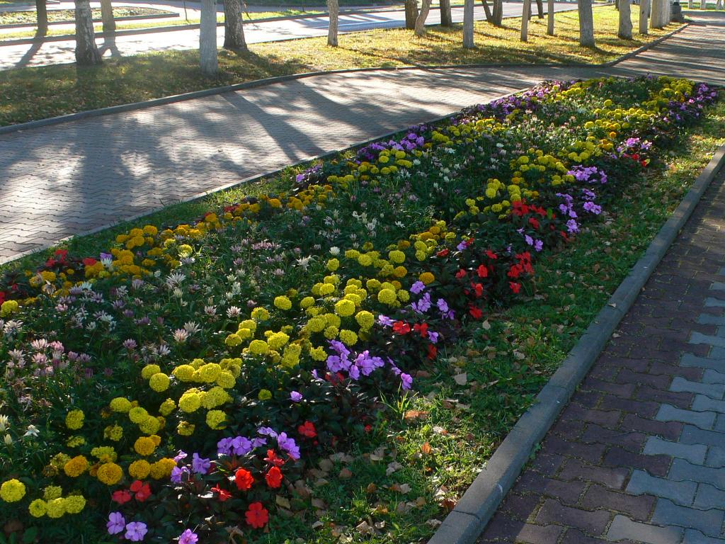 P1140563