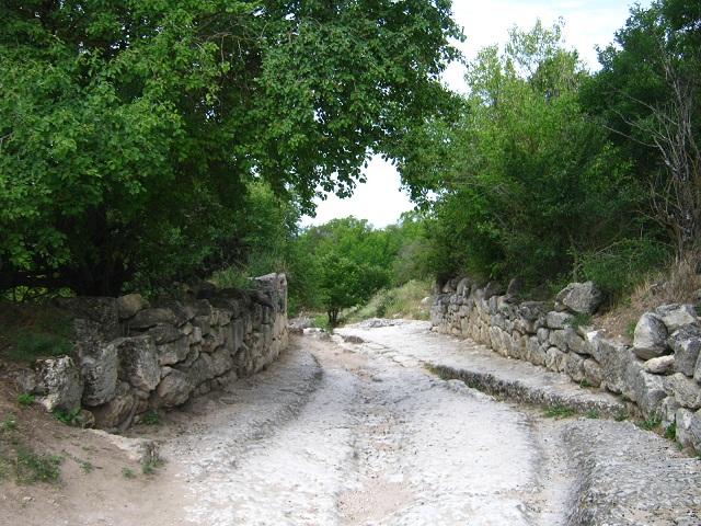 IMG 4537