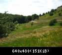 IMG 4600