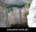 IMG 4637