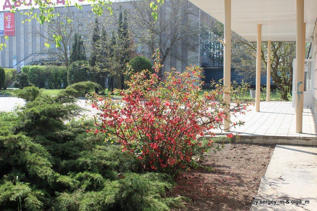 Евпатория  двор