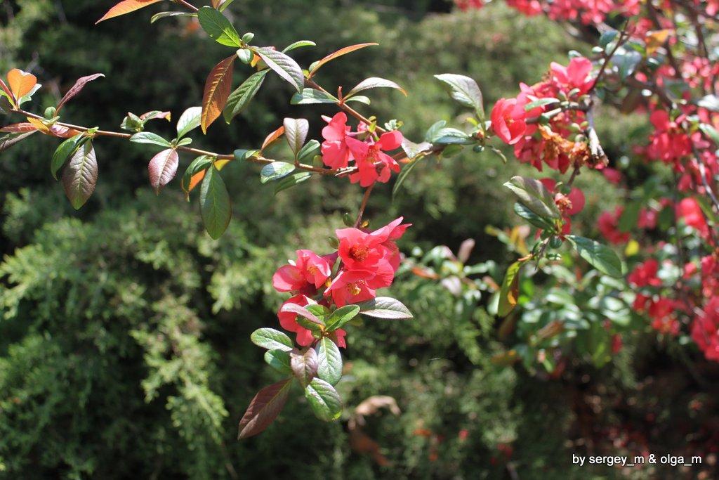 Евпатория  двор