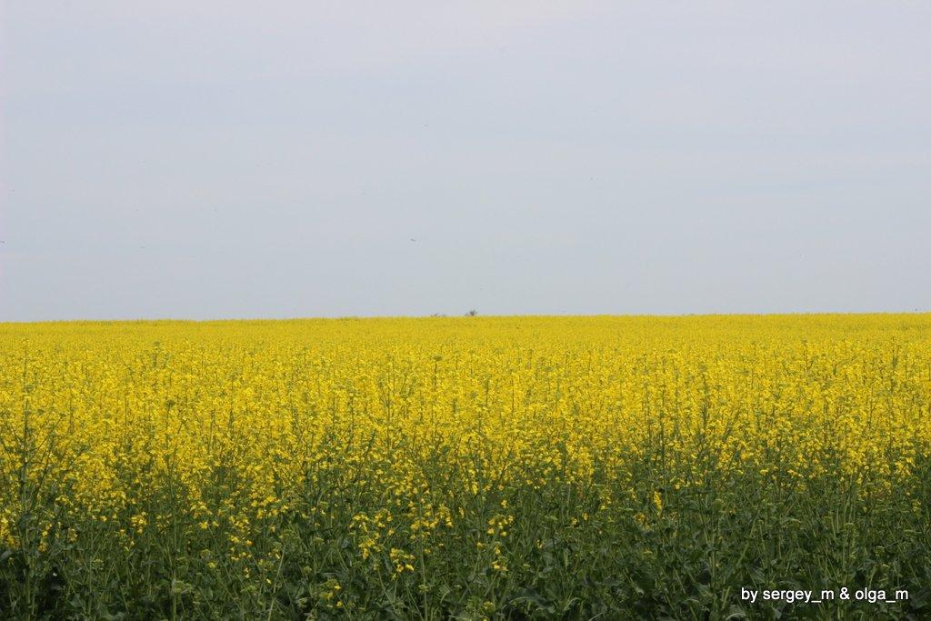 Тарханкут и по дороге