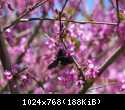 IMG 3448