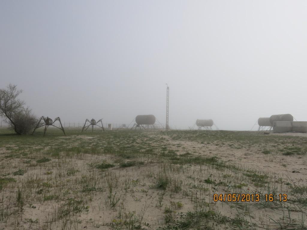 IMG 3512