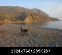 IMG 3604