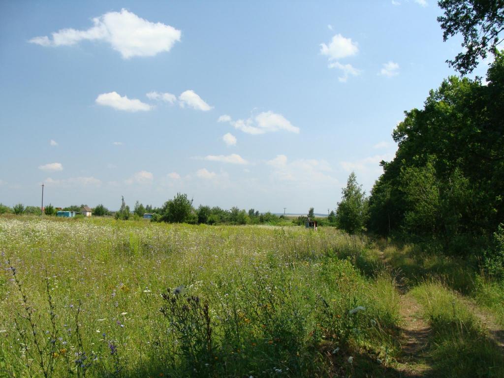DSC03706