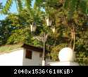 DSC04378