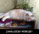 270720101670