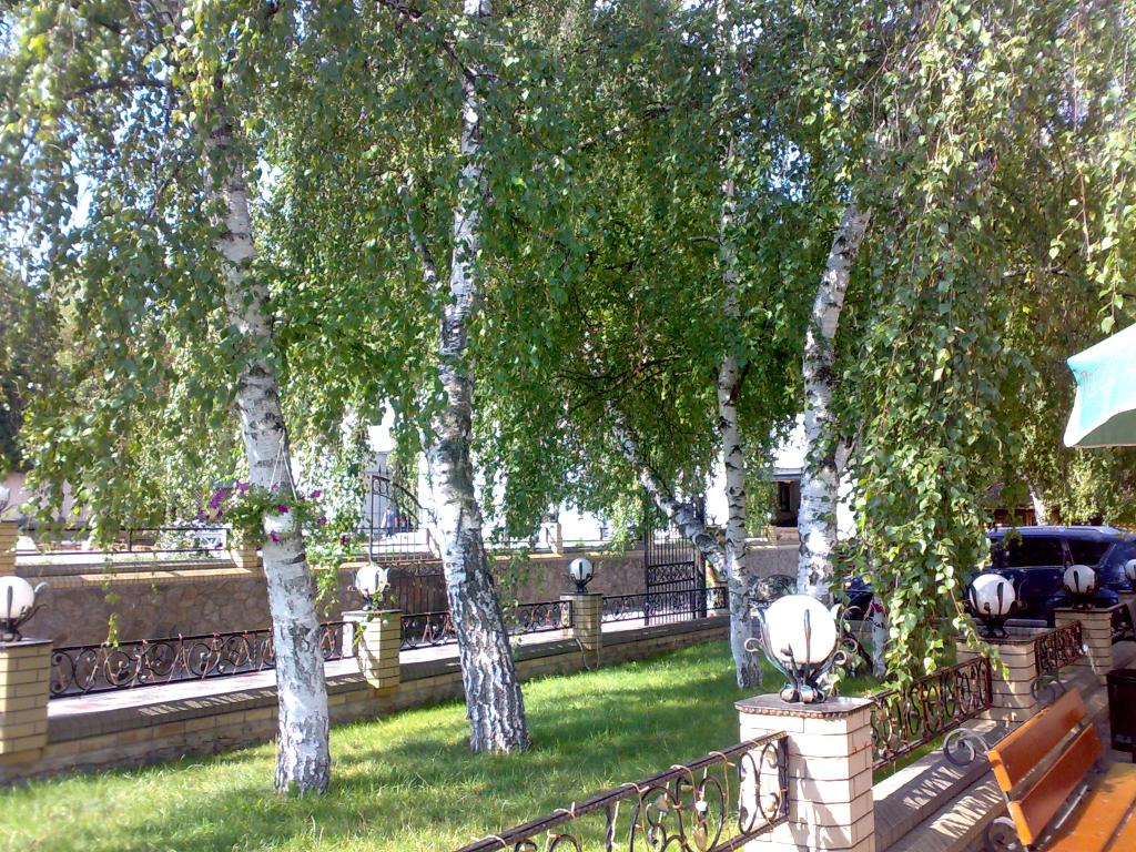 Отель Лесной под Красноградом