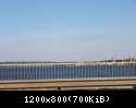 DPP 0004