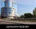 DPP 0024