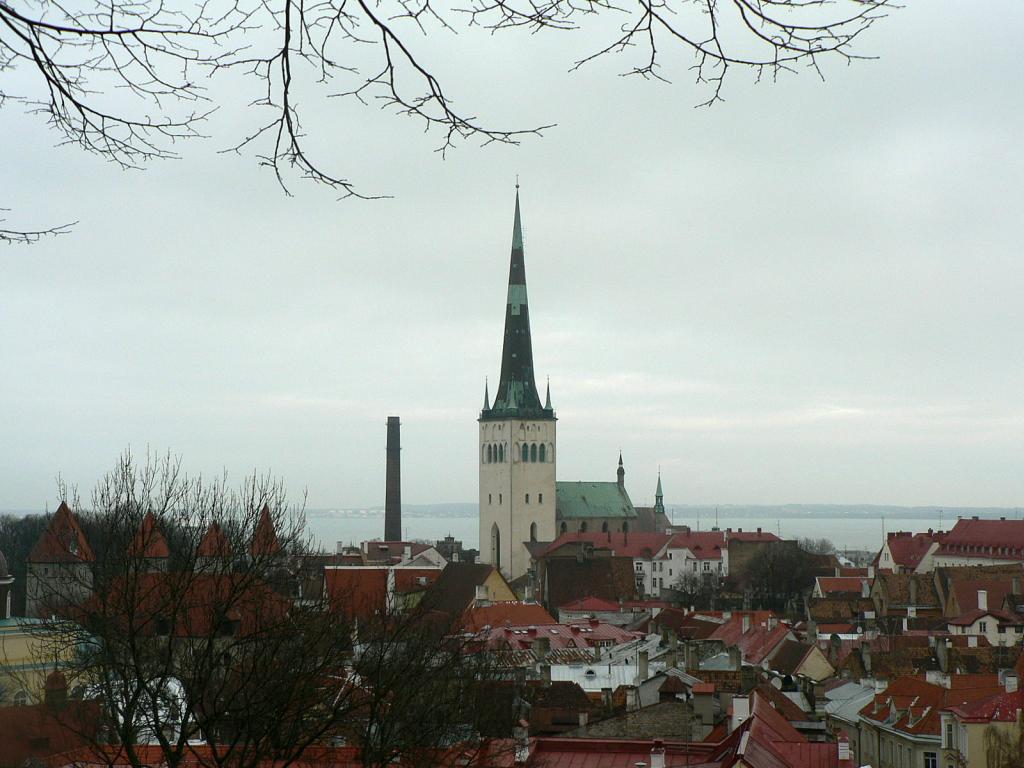 Панорамы старого Таллина