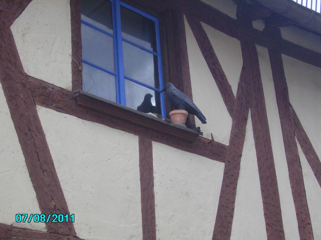 PICT0035