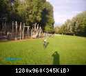 PICT0112