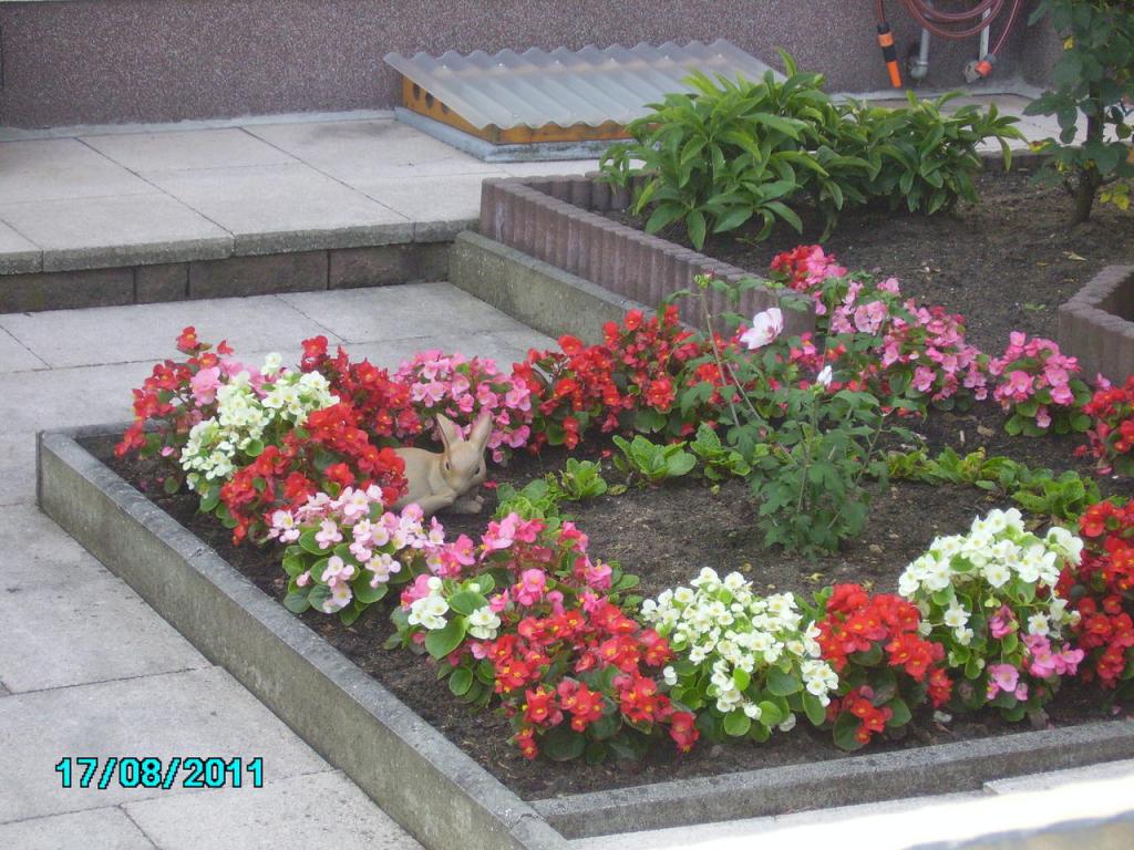 PICT0200