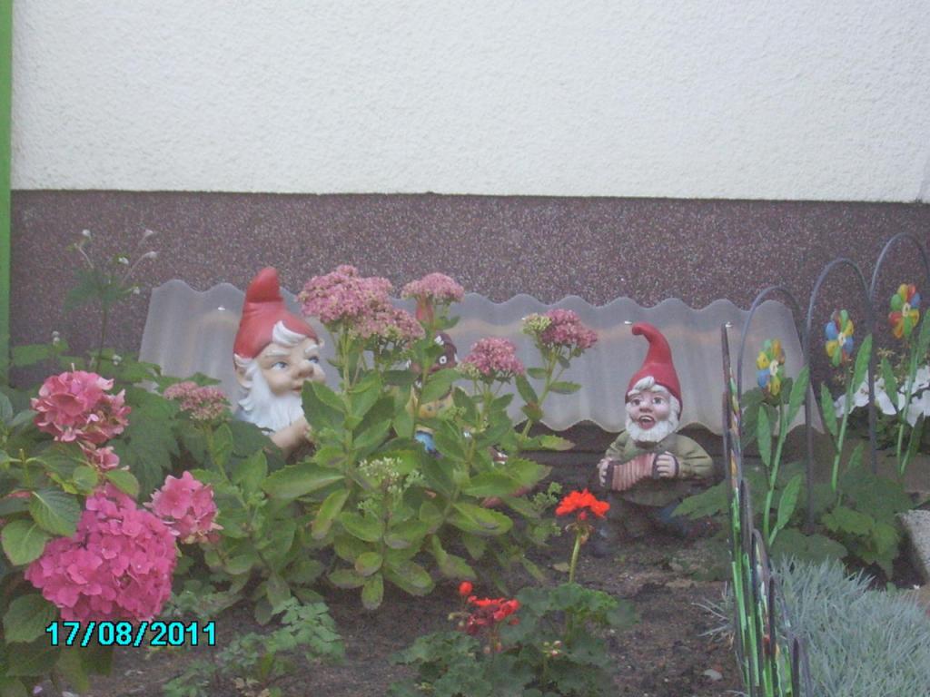 PICT0201