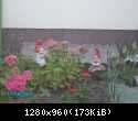 PICT0201