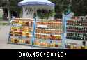IMG 0724