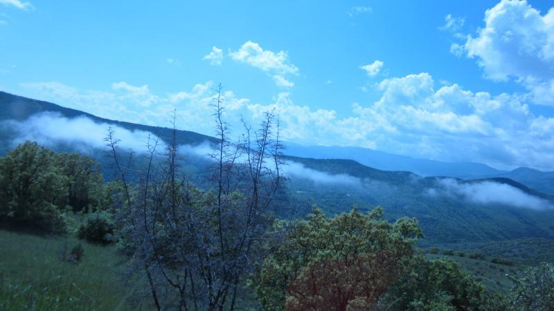 IMG 0769