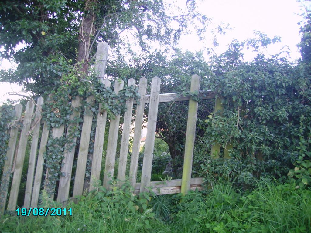 PICT0373